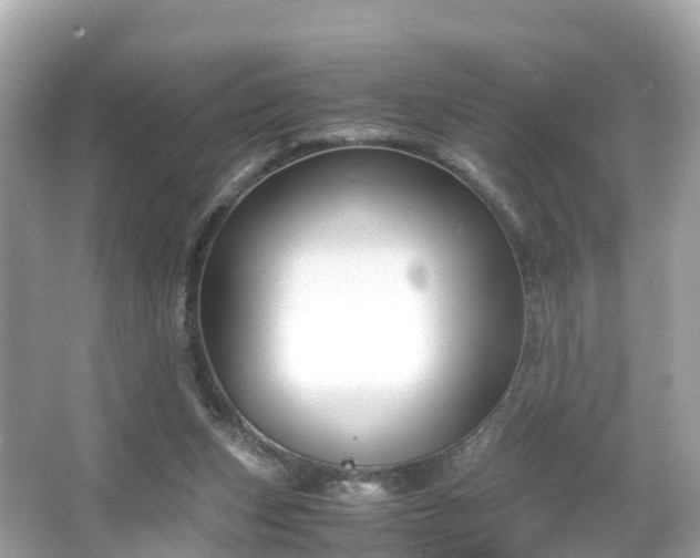 X0000066100159200603131239