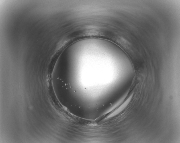 X0000066100160200603131239