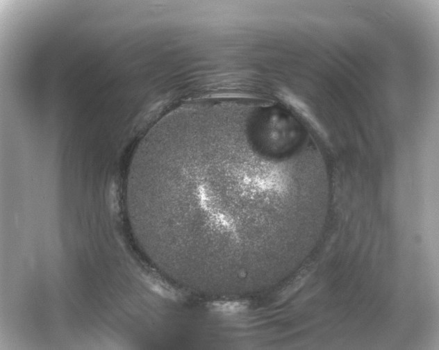 X0000066100161200603131239