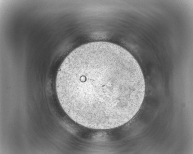 X0000066100162200603131239