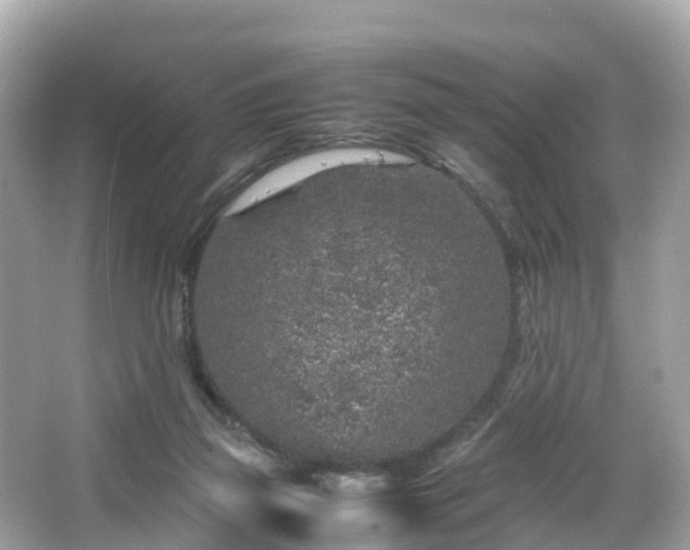 X0000066100165200603131239