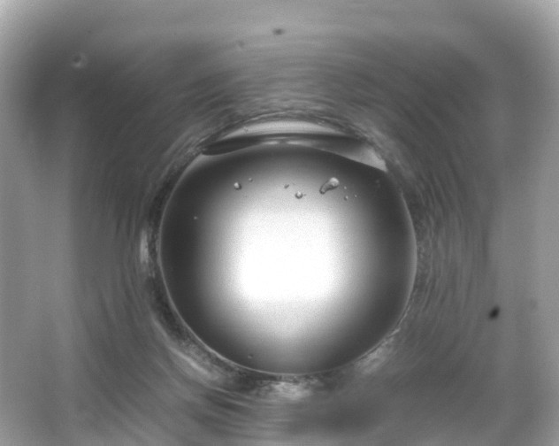 X0000066100166200603131239