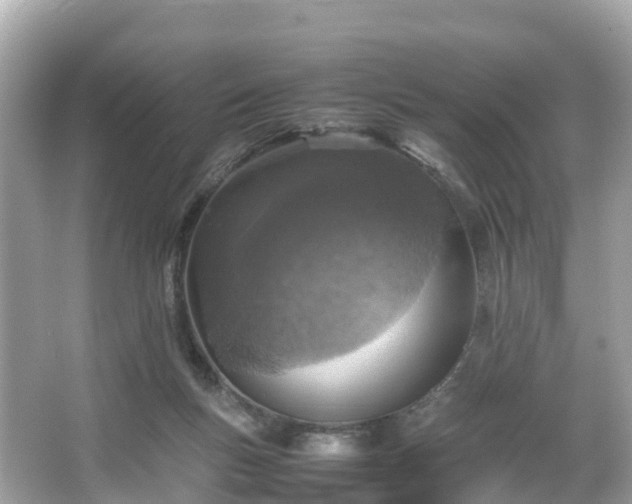 X0000066100167200603131239