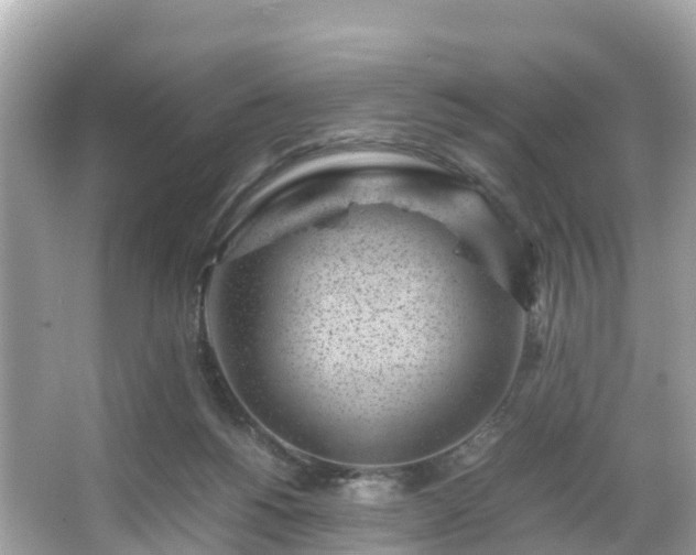 X0000066100168200603131239