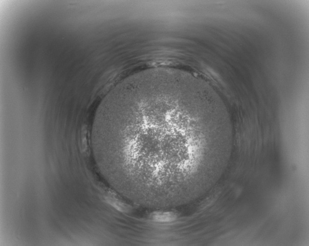 X0000066100169200603131239