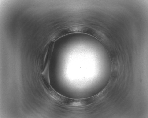 X0000066100171200603131239