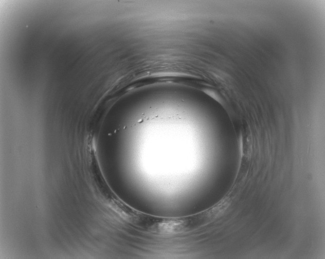 X0000066100172200603131239