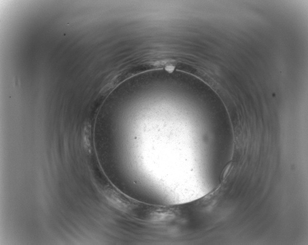 X0000066100175200603131239