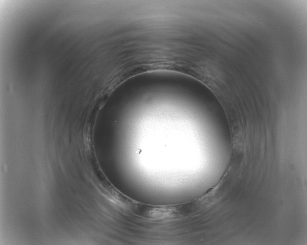 X0000066100179200603131239