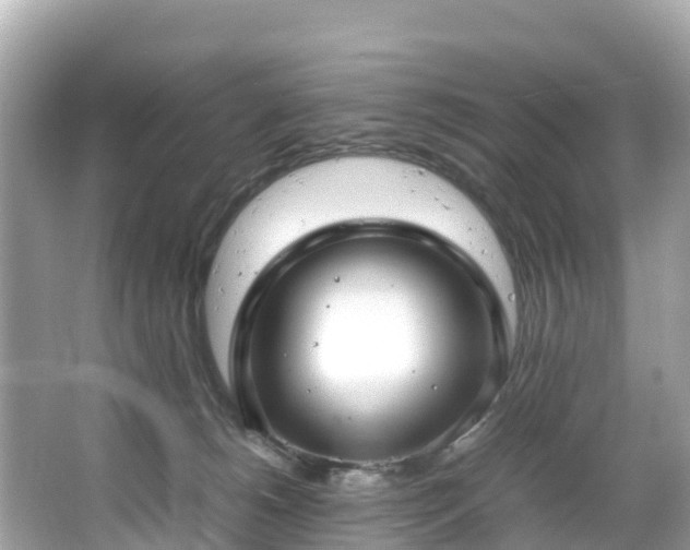 X0000066100180200603131239