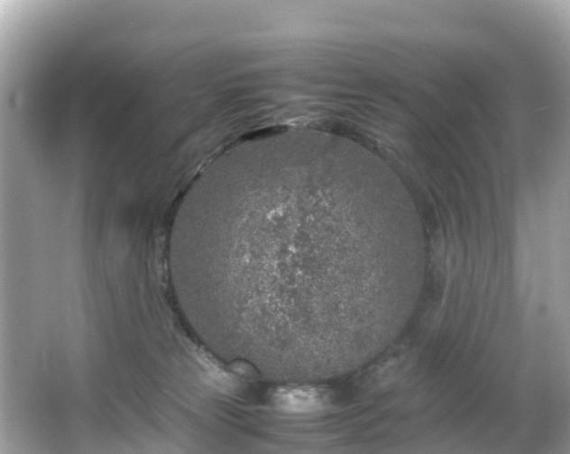 X0000066100181200603131239