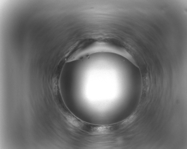 X0000066100184200603131239