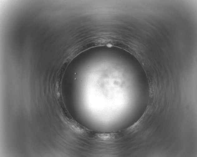 X0000066100187200603131239