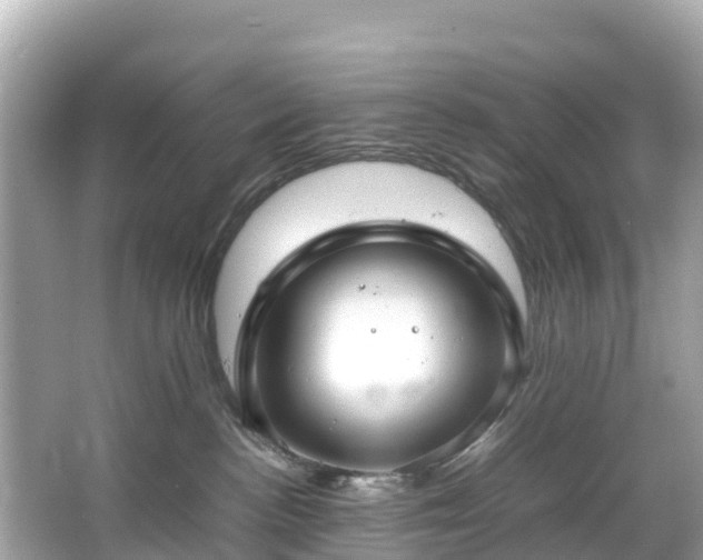 X0000066100188200603131239