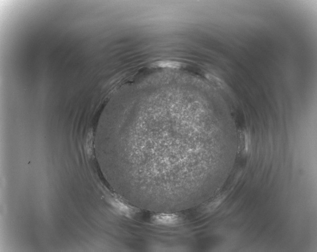 X0000066100189200603131239