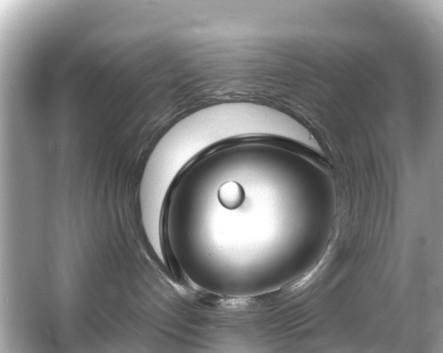 X0000066100192200603131240