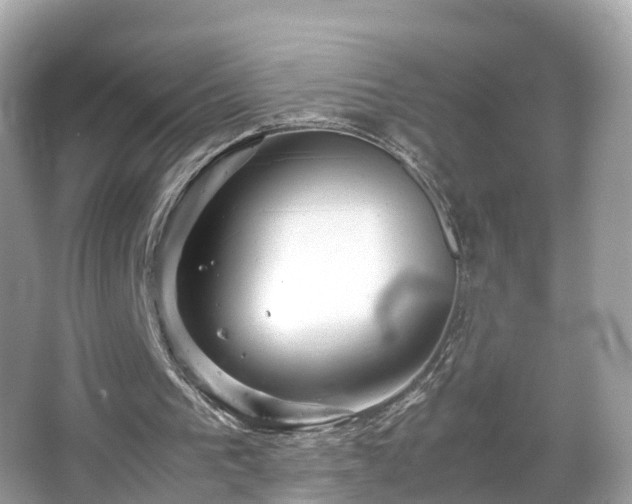 X0000066100193200603131239