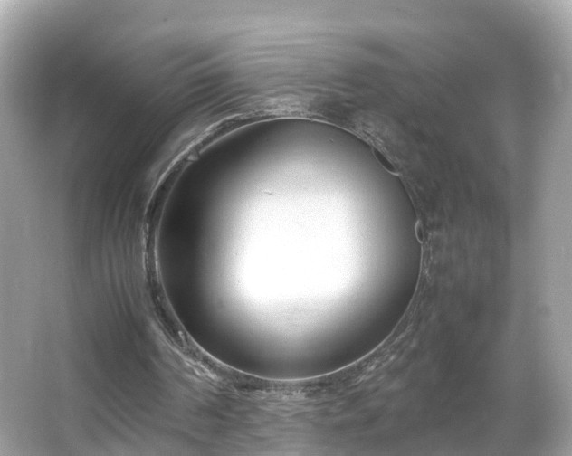 X0000066100194200603131239