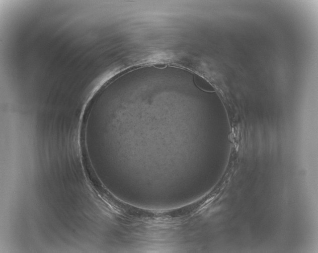 X0000066100196200603131239