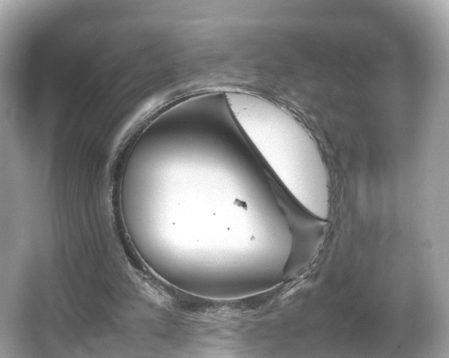 X0000066100197200603131239