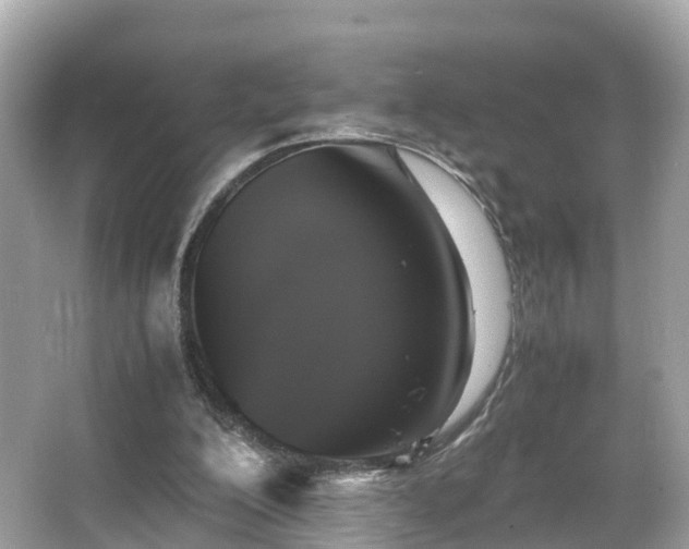 X0000066100200200603131239