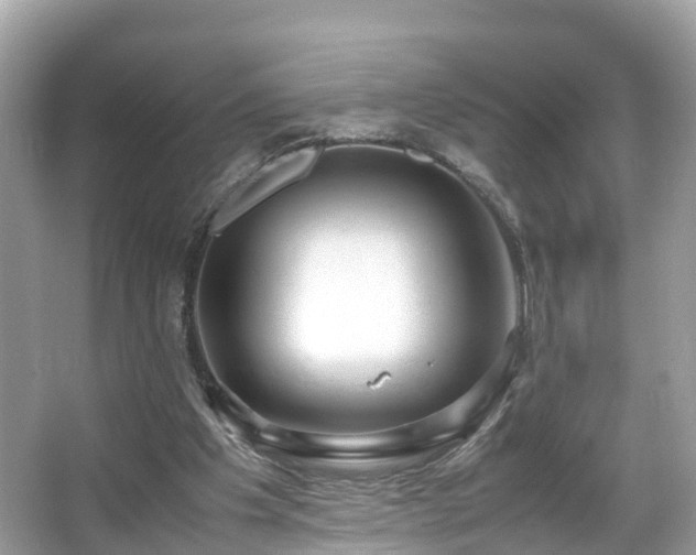 X0000066100201200603131239