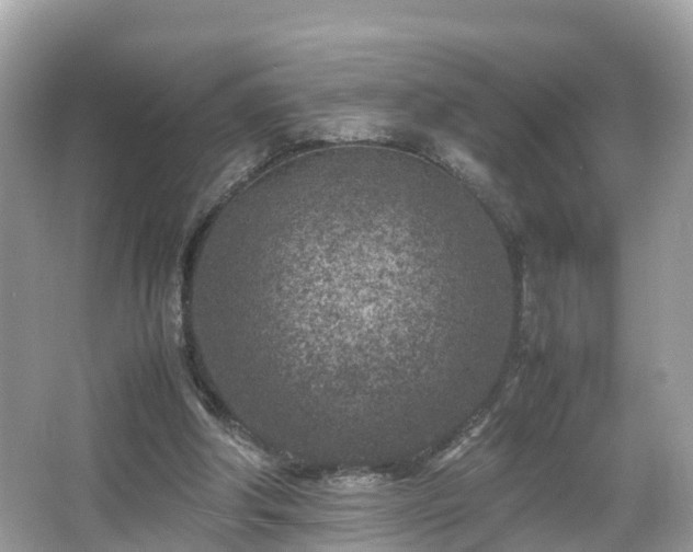 X0000066100202200603131239