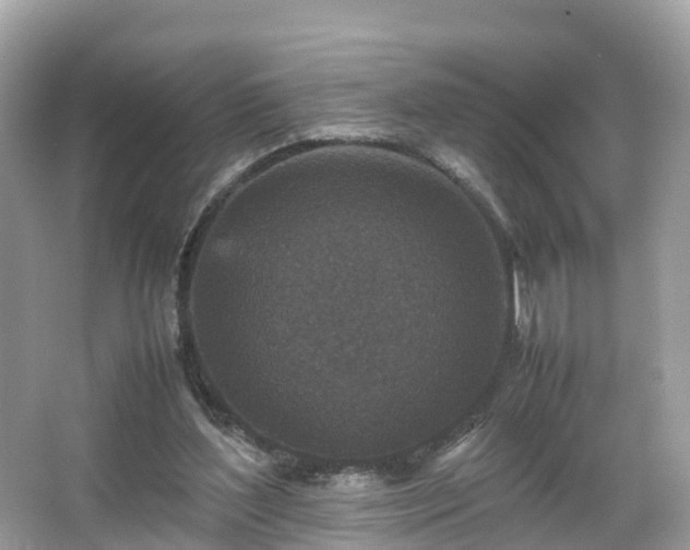 X0000066100204200603131239