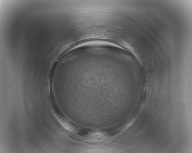 X0000066100205200603131239