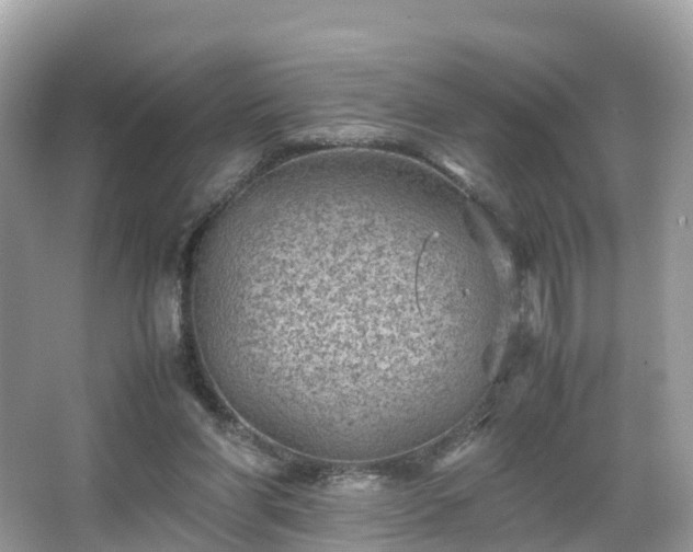 X0000066100206200603131239