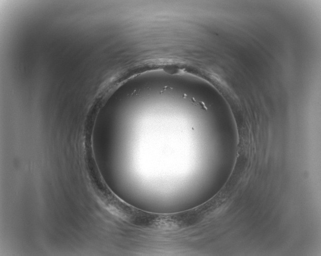 X0000066100207200603131238