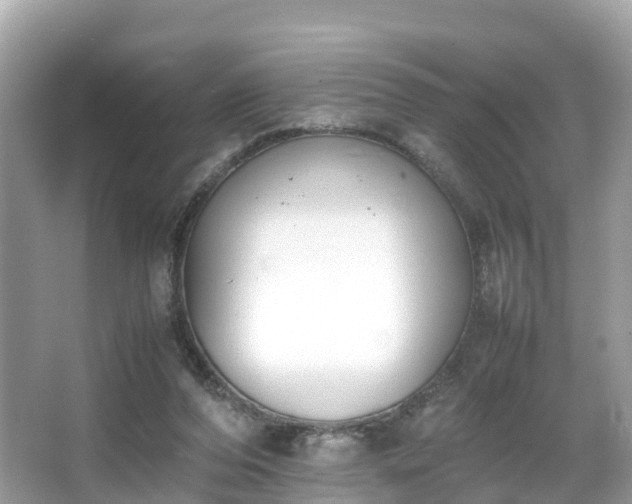 X0000066100208200603131238