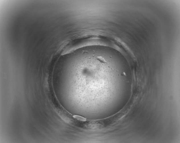 X0000066100209200603131238