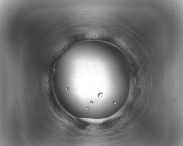 X0000066100211200603131238