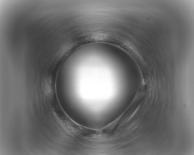 X0000066100212200603131238