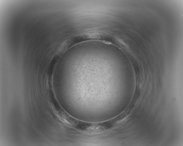 X0000066100213200603131238