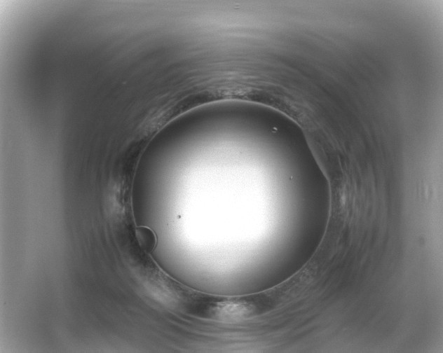 X0000066100218200603131238