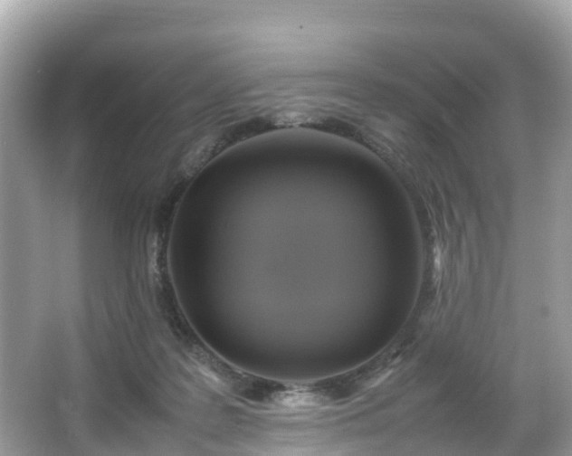 X0000066100219200603131238