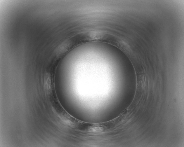 X0000066100220200603131238