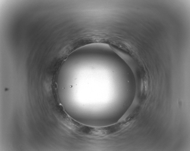 X0000066100221200603131238