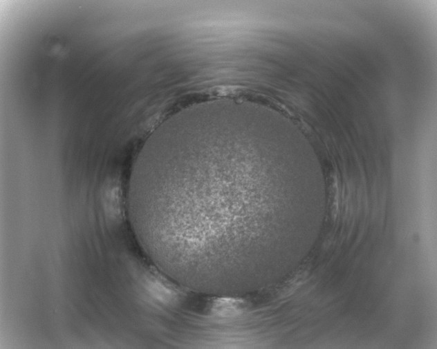 X0000066100222200603131238