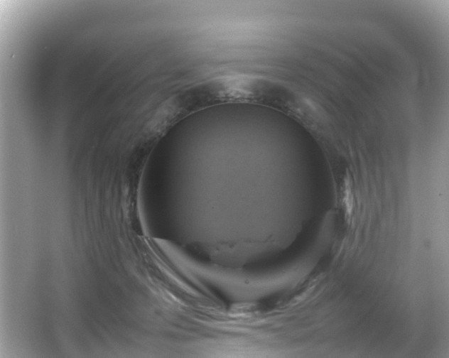 X0000066100223200603131238