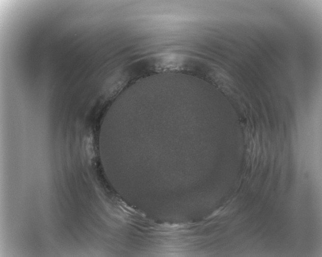 X0000066100224200603131238