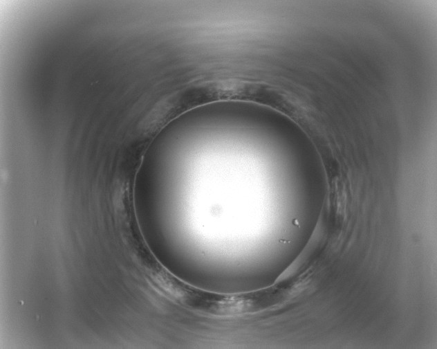 X0000066100225200603131238