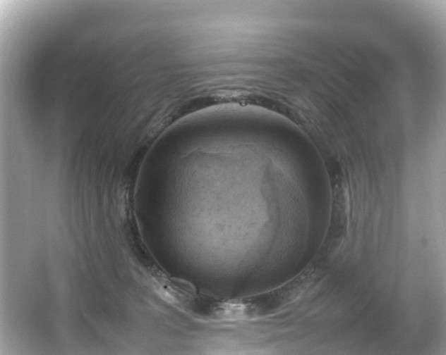 X0000066100227200603131238