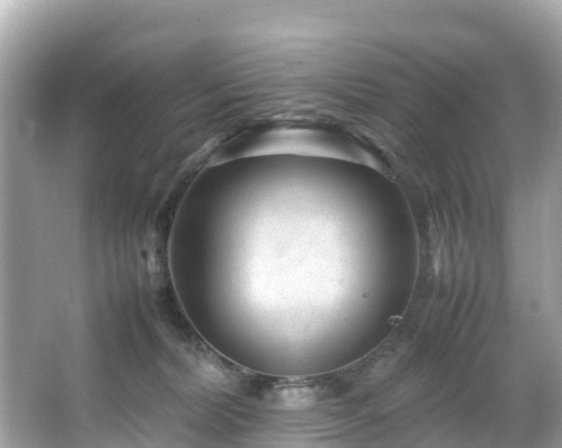 X0000066100228200603131238