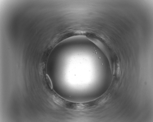 X0000066100229200603131238