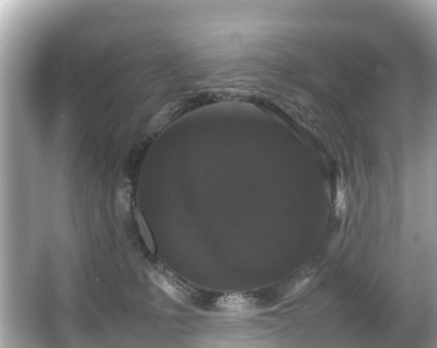 X0000066100231200603131238