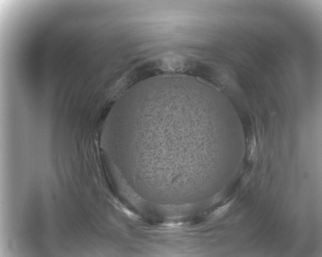 X0000066100233200603131238