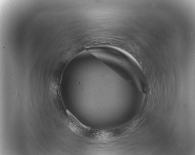 X0000066100235200603131238